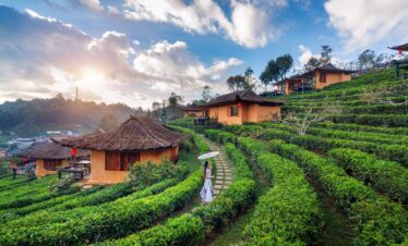 KALIMPONG WITH DARJEELING